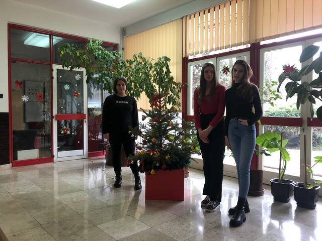 Празничне јелке 2022.