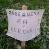 МЕЂУНАРОДНИ ДАН ПИСМЕНОСТИ