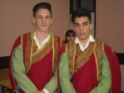 Новогодишња приредба (Лучани)