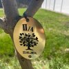 Засади дрво 2024.