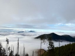 Пројекат „Корак за будућност”