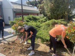 Акција садње 2026.