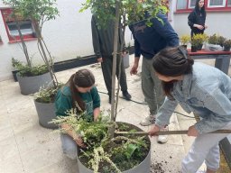 Акција садње 2026.