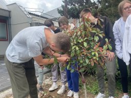 Акција садње 2026.