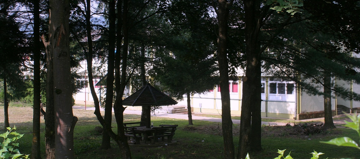 skola-009.jpg